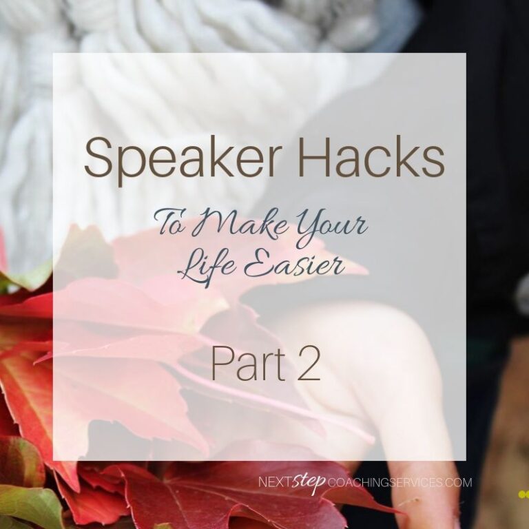 Speaker Hacks– Part 2